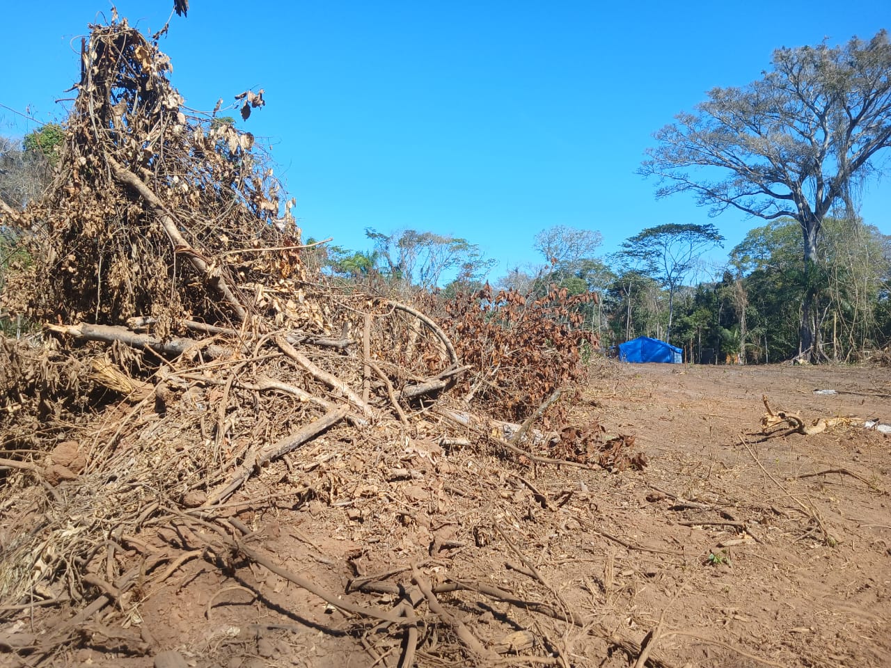 Imagen de un avasallamiento registrado en julio de 2025 en el “Área 51” del territorio indígena Monte Verde. La denuncia señala que una red de tráfico de tierras vendió 18 000 hectáreas a un grupo de menonitas | Foto: Cortesía CEJIS