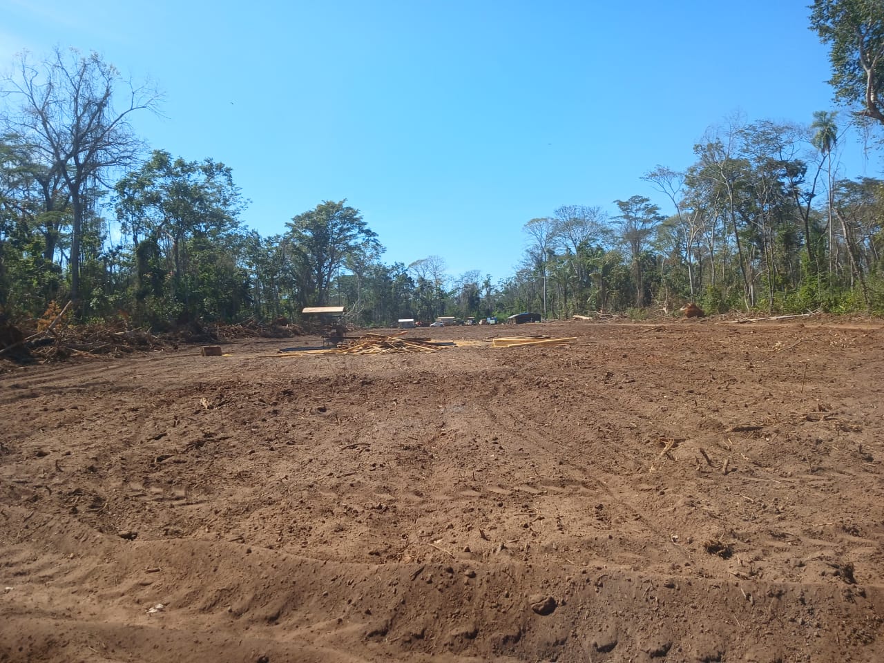 Imagen de julio de 2025 que documenta el desmonte ilegal realizado por colonias menonitas en Monte Verde | Foto: Cortesía CEJIS