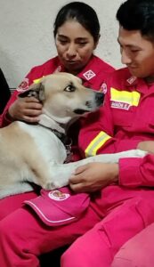 Pichirilo junto a bomberos