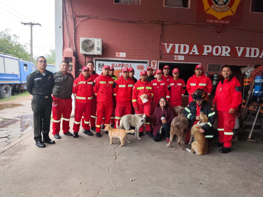 Cuerpo de bomberos