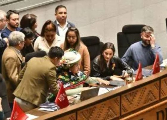 Asamblea legislativa aprueba crédito CAF por $us 176 millones