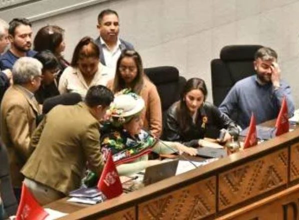 Asamblea legislativa aprueba crédito CAF por $us 176 millones