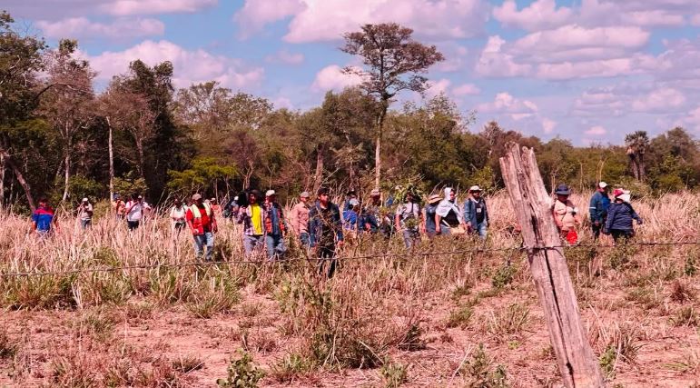 Avasalladores ponen en riesgo área de preservación de la palmera de saó en Cabezas