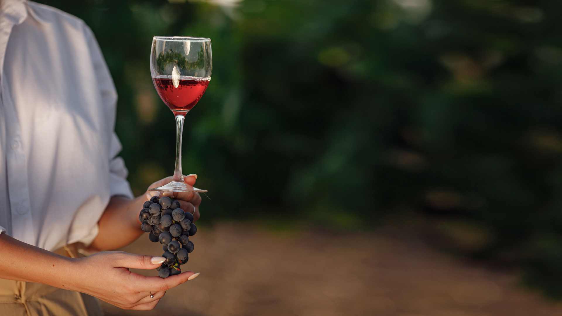 Evolución del mercado del vino: calidad, diversidad y sostenibilidad en auge