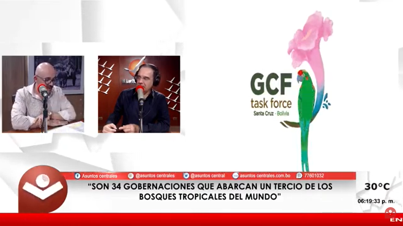 Gobernadores del grupo GCF debatirán alternativas para frenar la deforestación en la región