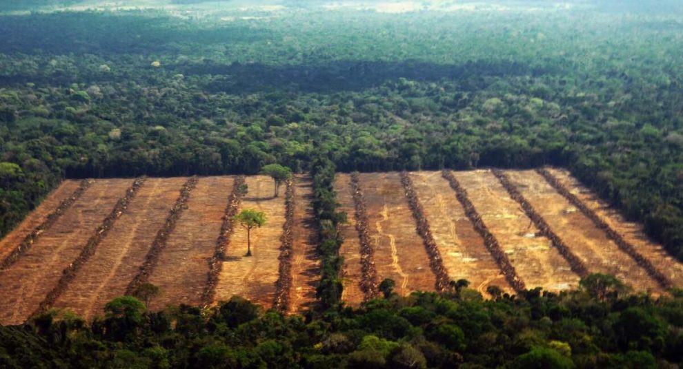 Brasil y Colombia mejoran, mientras Bolivia y Nicaragua, entre los que más deforestan