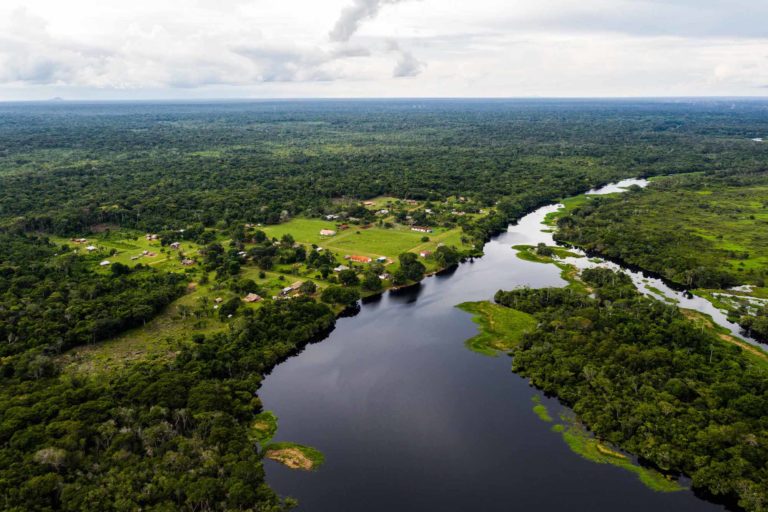 En el Día de la Tierra, el mundo sigue retrocediendo en materia ambiental