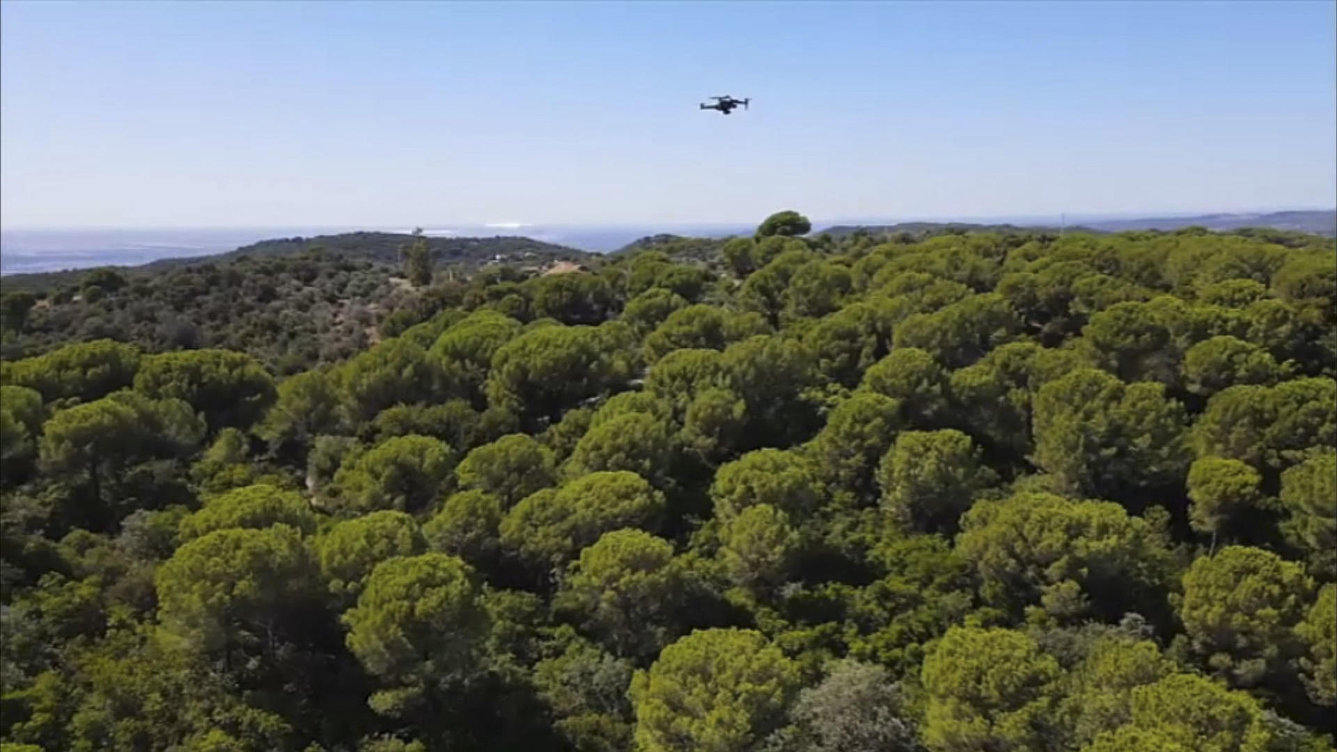 Drones, sensores y satélites, una nueva era de lucha contra los incendios forestales