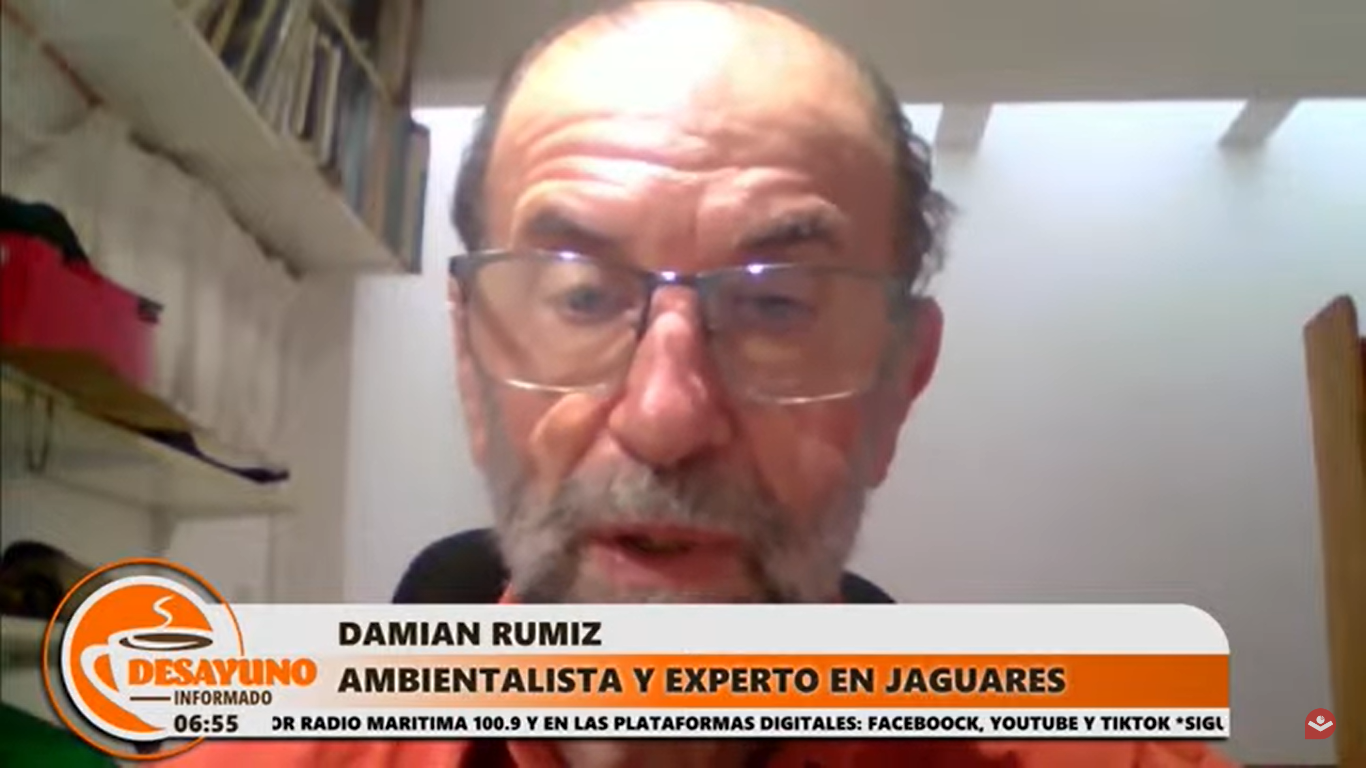 Ambientalista: “Los jaguares atacan cuando se sienten amenazados”