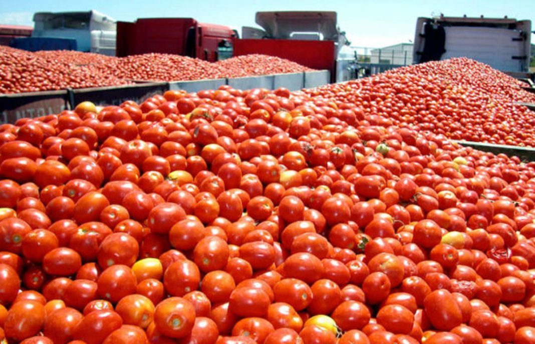 ¿Por qué está caro el tomate?