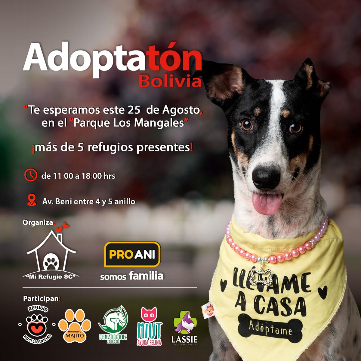 Organizan la 6ta versión del Adoptatón Bolivia este domingo en el parque Los Mangales