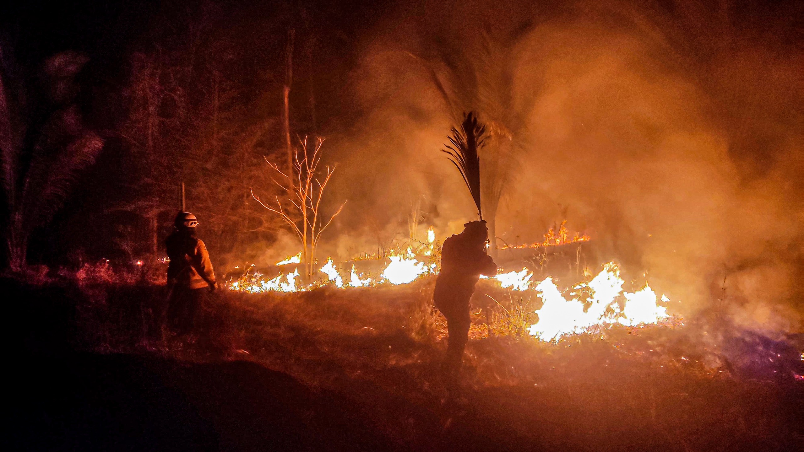 Alarma en Santa Cruz: 43 incendios forestales arrasan más de 1.9 millones de hectáreas