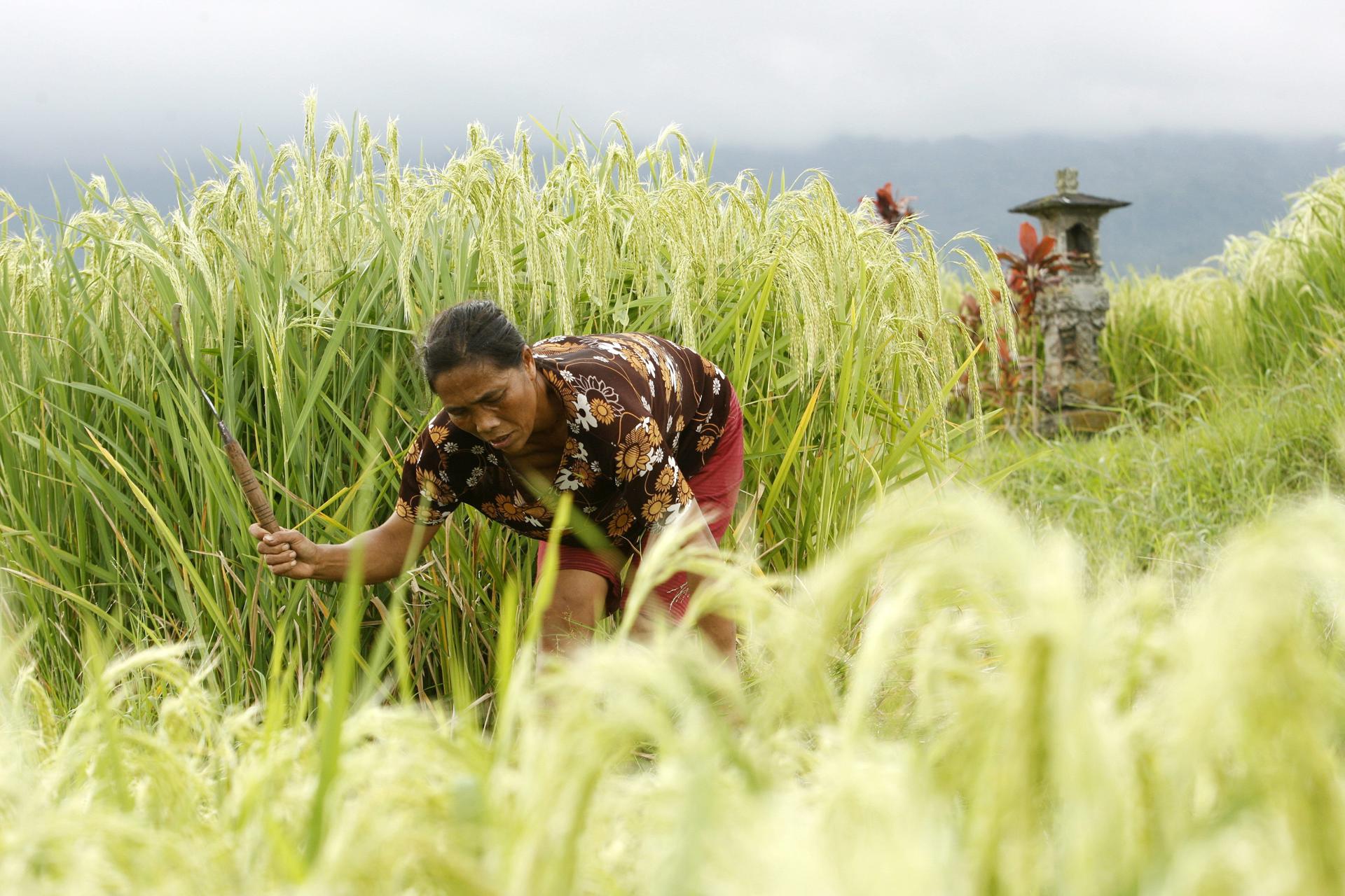 Identifican los lugares patrimonio de la Unesco más amenazados por la crisis climática