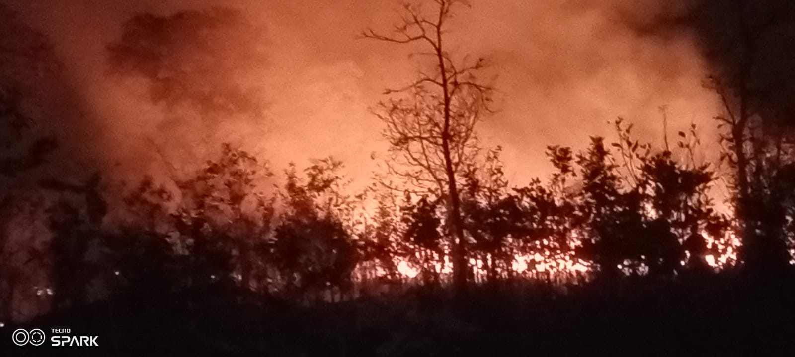 Fuego avanza hacia Santa Ana de Velasco: dos comunidades afectadas y la amenaza se acerca a Pailitas