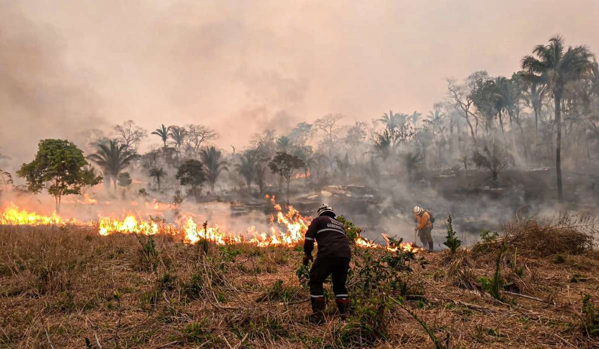 Exigen atención prioritaria y completa para bomberos voluntarios y guardarparques