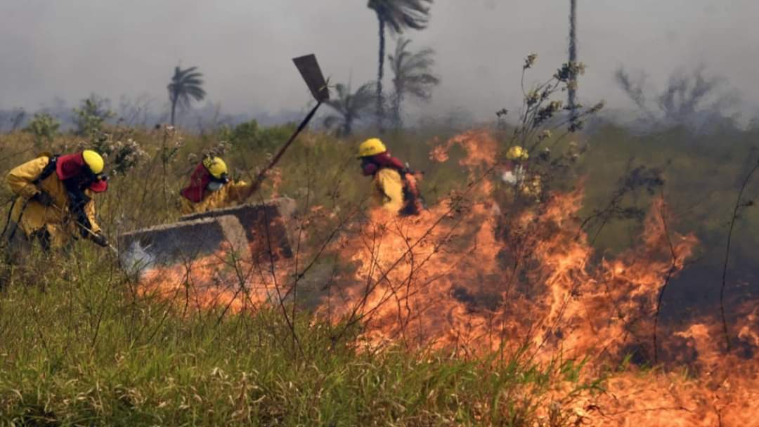 Ganaderos y Procuraduría acordaron suspender investigaciones sobre incendios en propiedades rurales