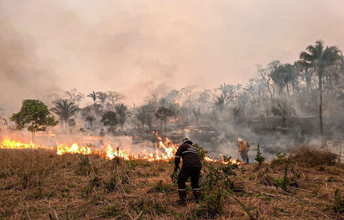 Tigo se suma a lucha contra incendios y habilita llamadas solidarias sin costo en las áreas más afectadas