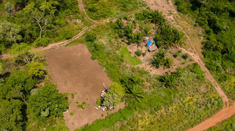 INRA pide reemplazar el uso del fuego en la agricultura y propone nuevas soluciones