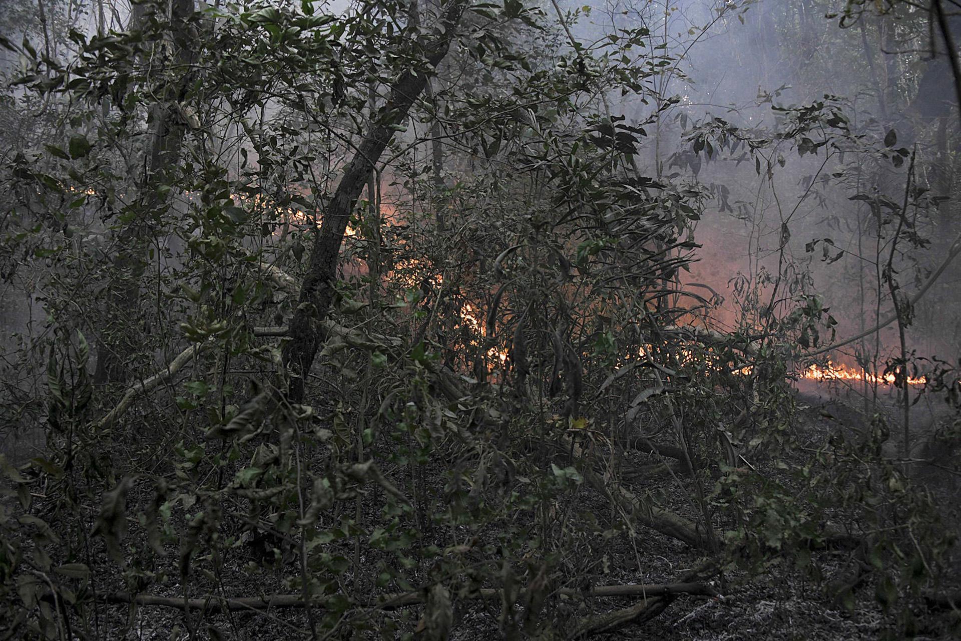 Los incendios en Brasil afectan a unas cuarenta tierras indígenas de Mato Grosso