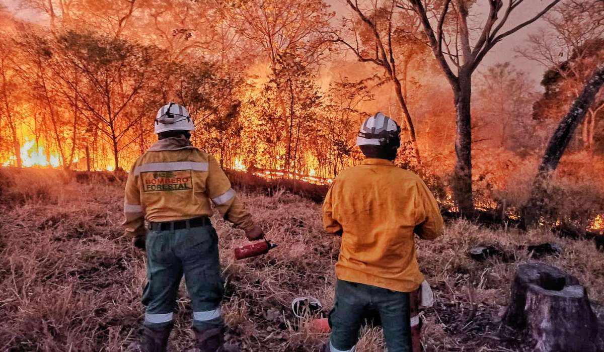 Santa Cruz tiene 64 incendios activos y hay más de 3 millones de hectáreas afectadas