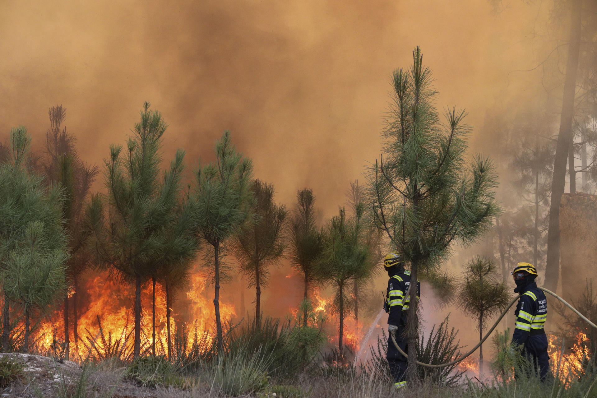 El incremento de los fuegos forestales aumenta el calentamiento de la superficie terrestre