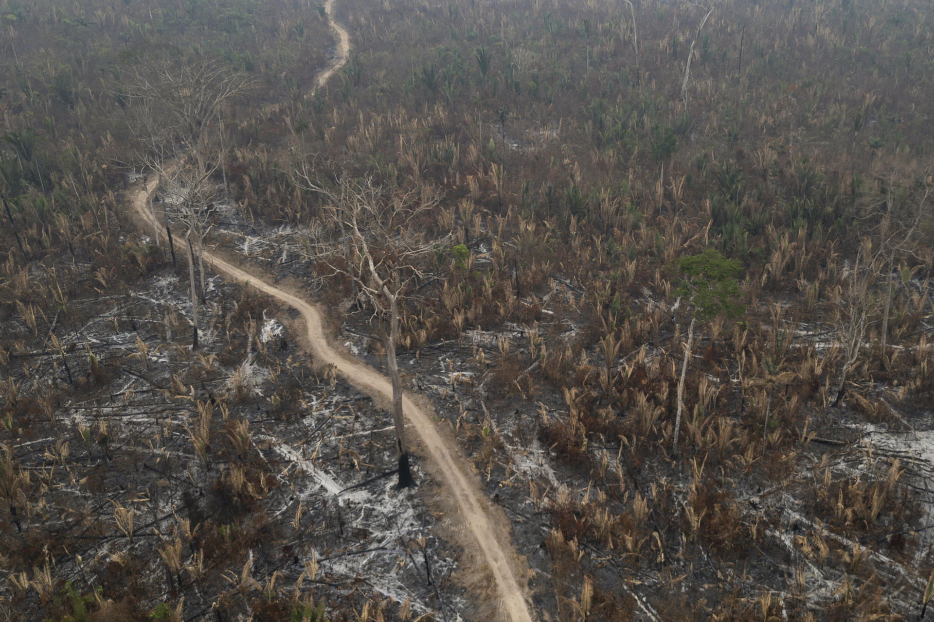 Santa Cruz libre de incendios, pero Gobernación refuerza ayuda y control en áreas afectadas