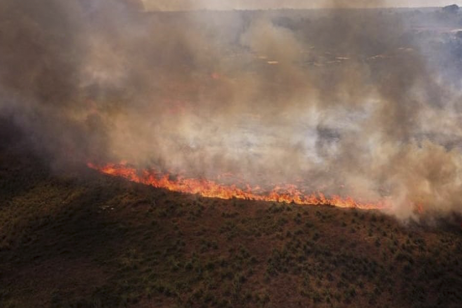 Legisladores de Comunidad Ciudadana piden declarar desastre nacional por incendios forestales