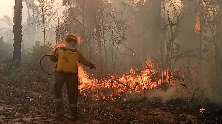 Crece pedido de declarar desastre nacional: los incendios no paran y hay llanto