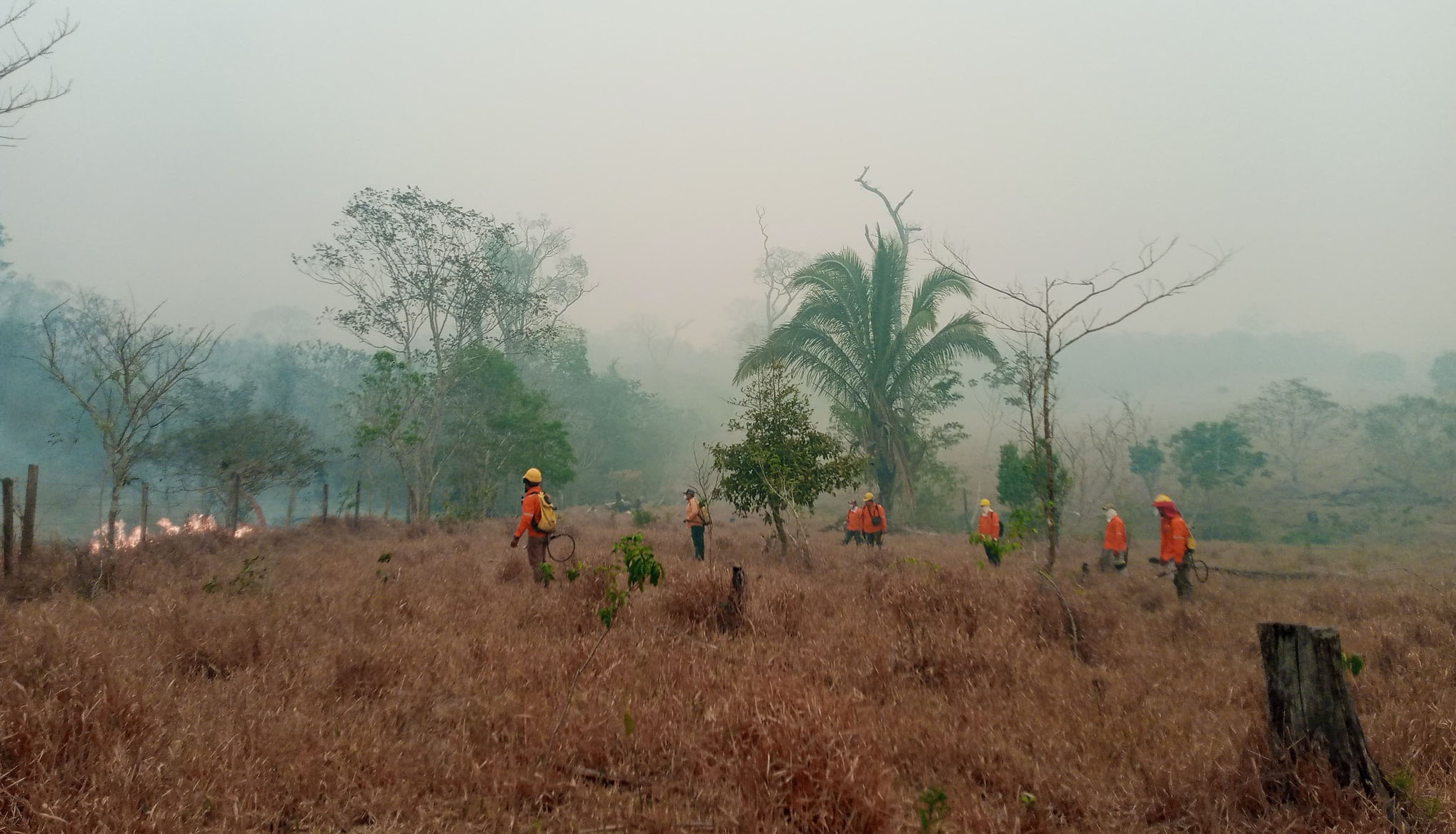 Gobierno prioriza aprobación de créditos sobre declaratoria de desastre nacional para combatir incendios