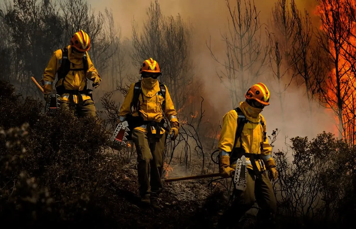 La Unión Europea y sus Estados miembros brindan apoyo humanitario de €1,3 millones para combatir incendios en Bolivia