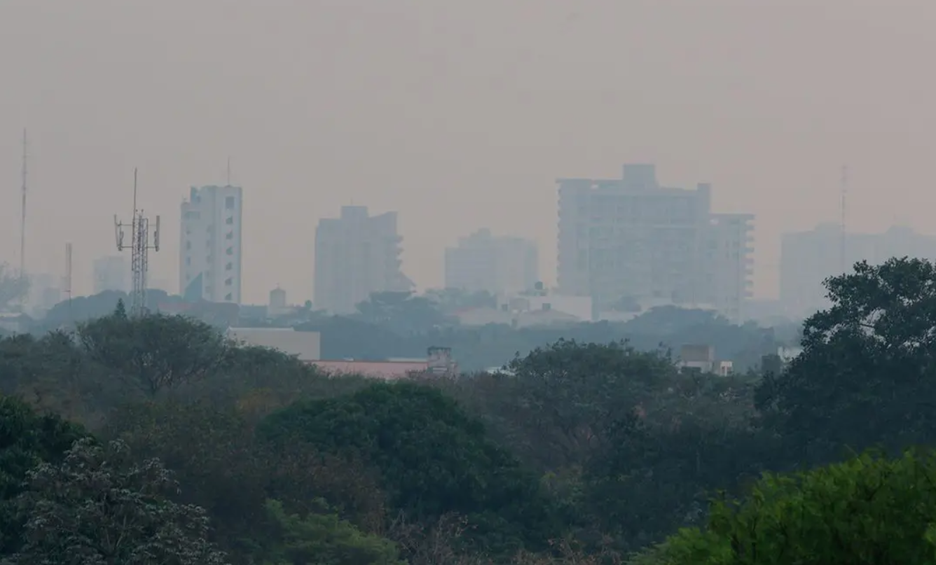 Ola de calor extrema azota a Santa Cruz con temperaturas de hasta 43 °C y alto riesgo de incendios forestales