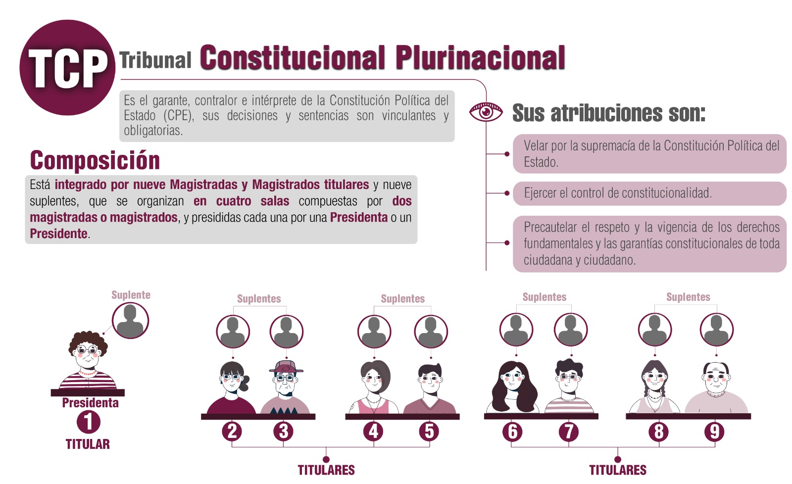 Cómo se eligen a los magistrados del Tribunal Constitucional Plurinacional