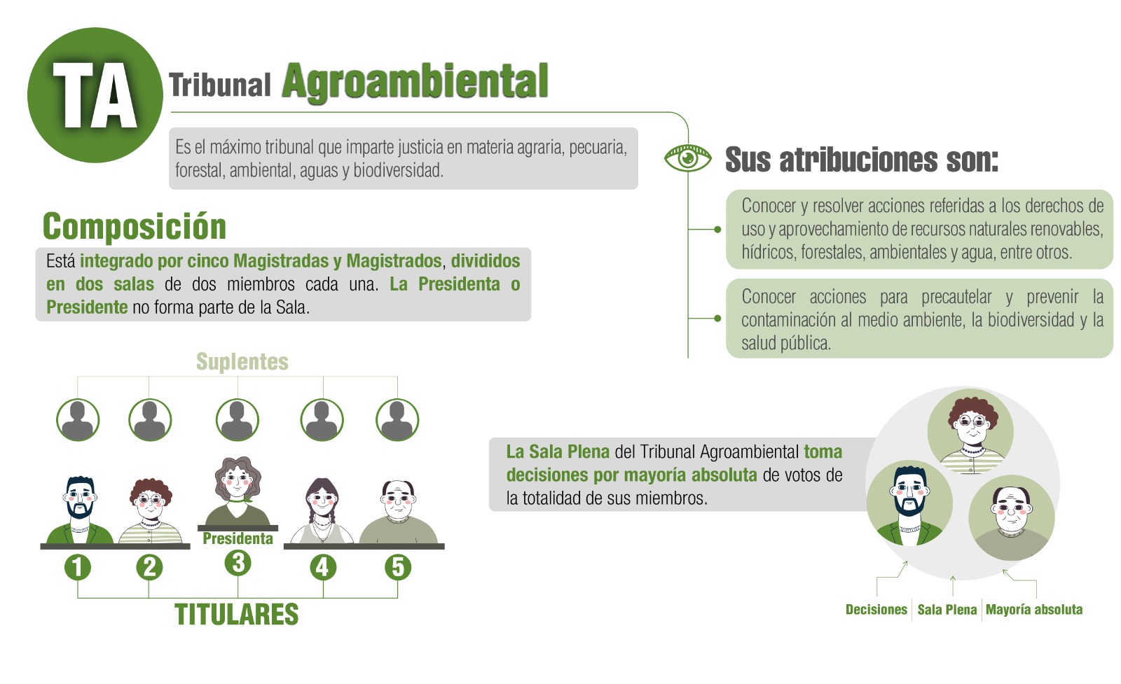 Conoce cuántas autoridades del Tribunal Agroambiental elegiremos el 1 de diciembre