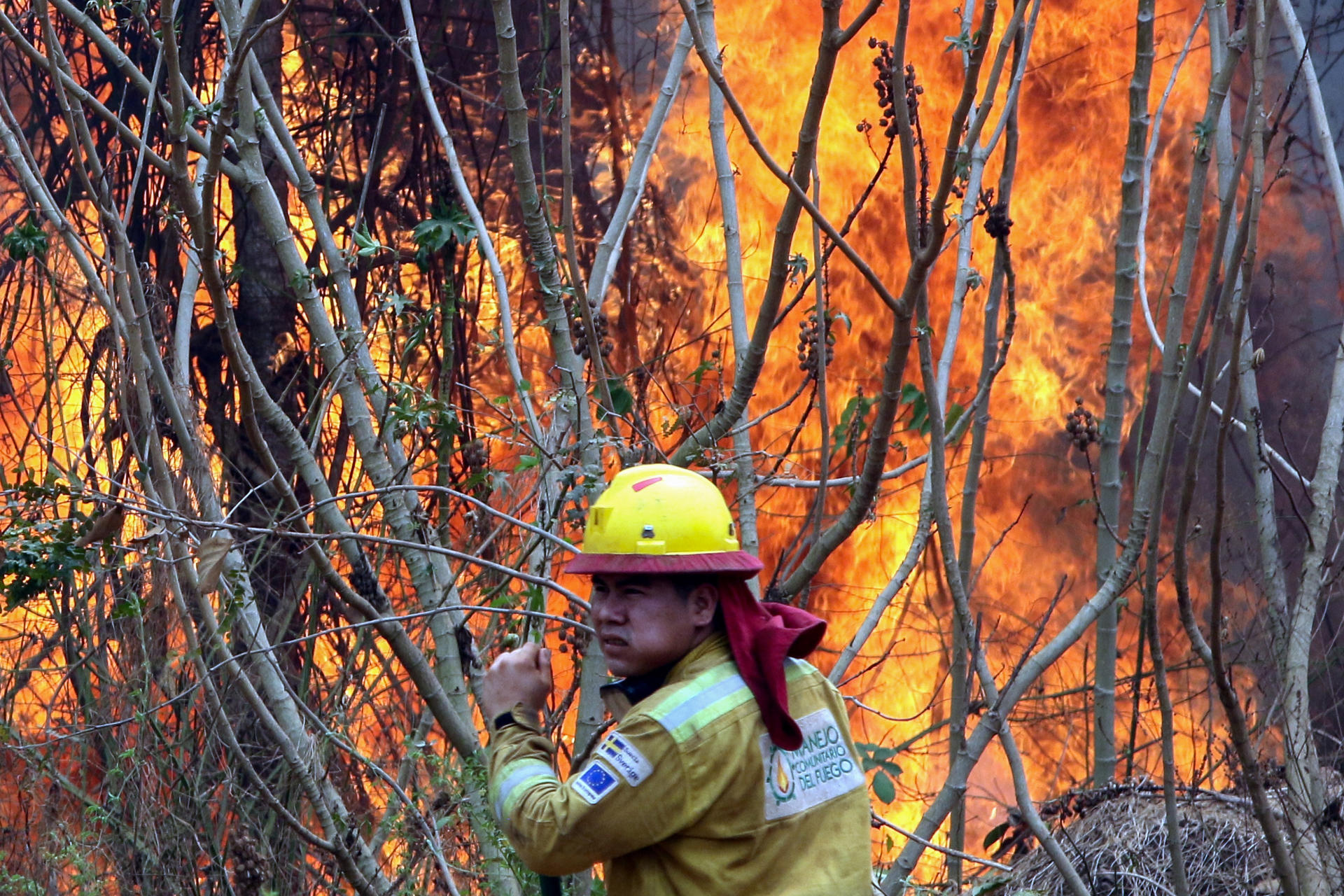 Bolivia dice que los incendios forestales devastaron 9,8 millones de hectáreas