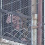 Elecciones judiciales en riesgo de paralización por amparo en Beni: TSE advierte graves consecuencias para la democracia