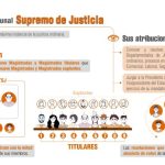 En las Elecciones Judiciales del 1 de diciembre se elegirá a nueve magistrados titulares y nueve suplentes del Tribunal Supremo de Justicia (TSJ), la elección se realizará en circunscripción departamental, es decir que en cada departamento se elegirá a un magistrado o magistrada titular y a un suplente, por esta razón las papeletas de sufragio en cada departamento tienen distintos candidatos y candidatas
