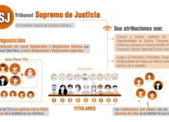 En las Elecciones Judiciales del 1 de diciembre se elegirá a nueve magistrados titulares y nueve suplentes del Tribunal Supremo de Justicia (TSJ), la elección se realizará en circunscripción departamental, es decir que en cada departamento se elegirá a un magistrado o magistrada titular y a un suplente, por esta razón las papeletas de sufragio en cada departamento tienen distintos candidatos y candidatas