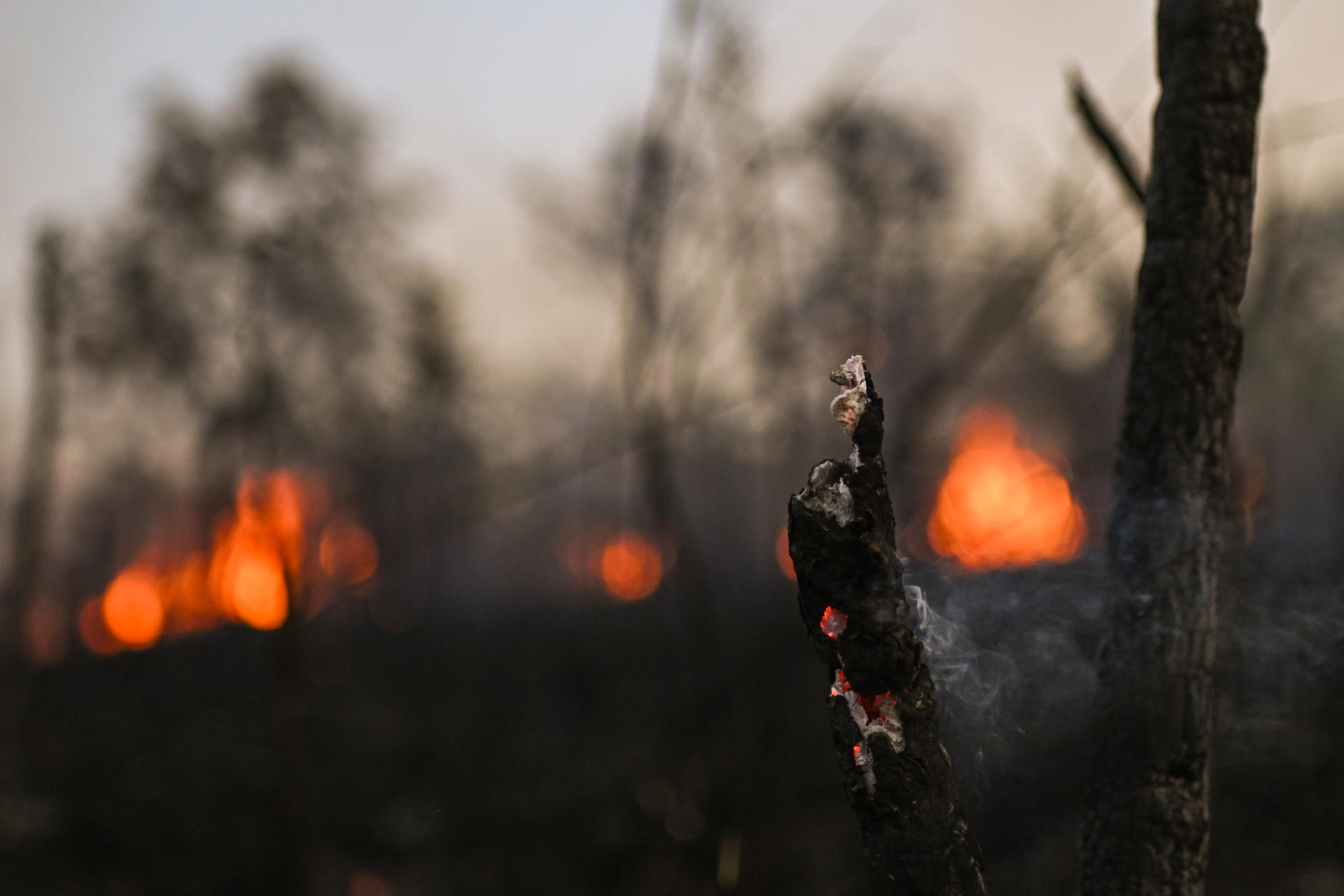 El Gobierno brasileño propone endurecer las penas por delitos contra el medioambiente