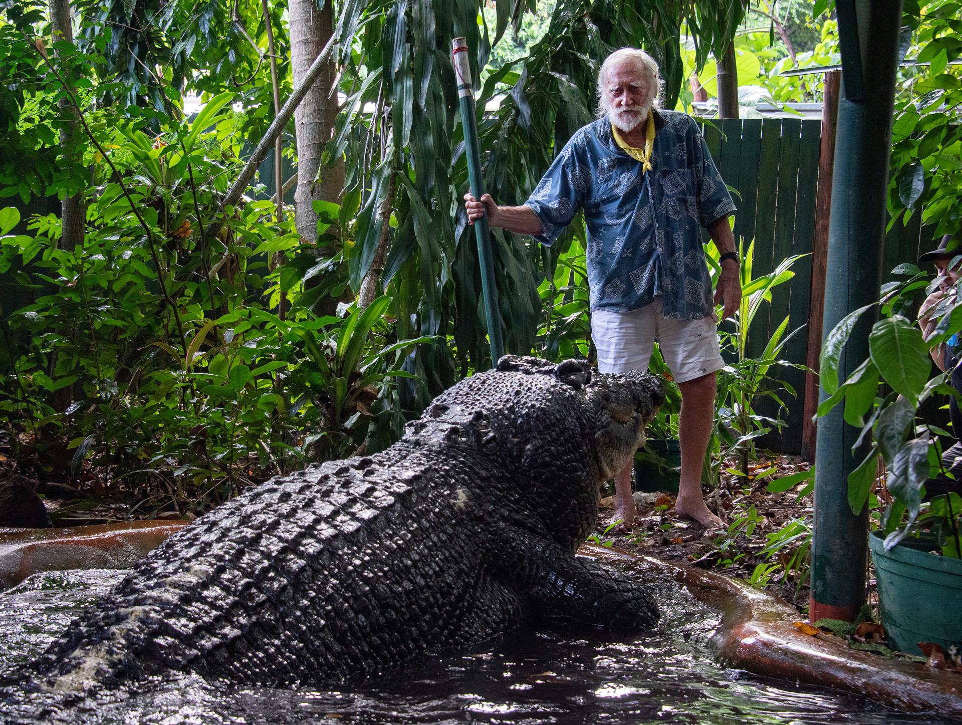 El cocodrilo más grande del mundo fallece en un centro de animales en Australia