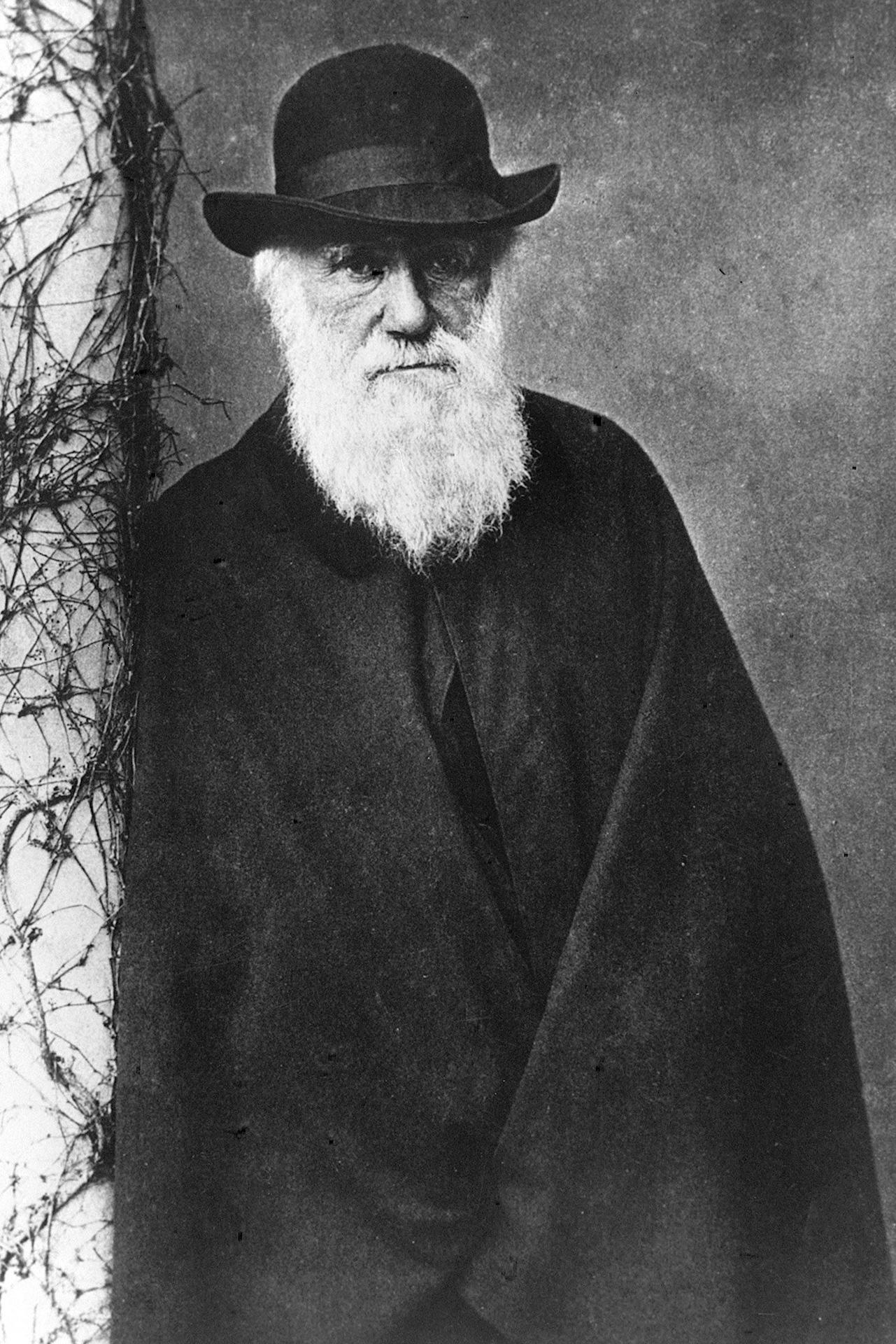 165 años de la publicación de ‘El origen de las especies’ de Darwin