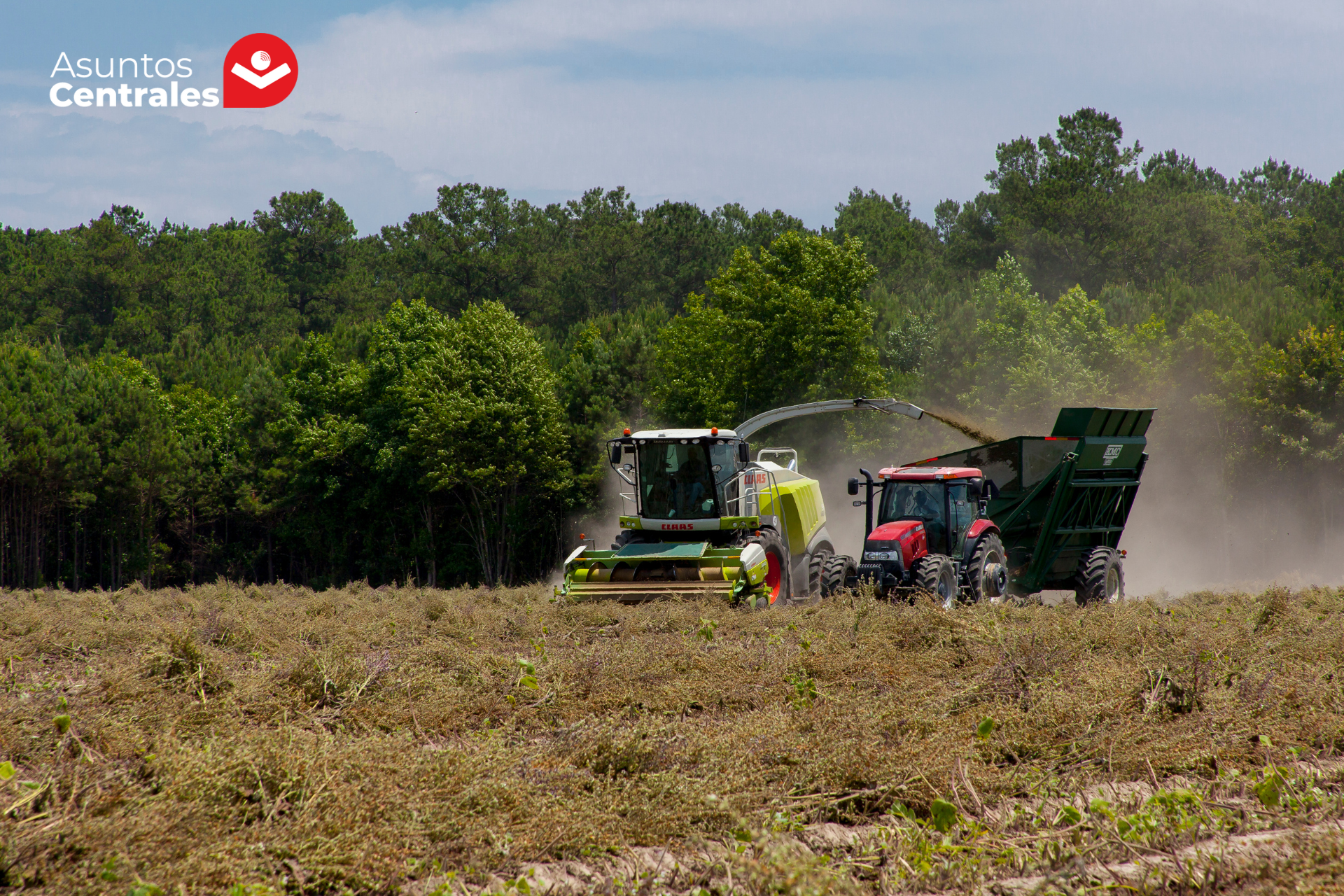 Semana inestable en el sur: lluvias intensas y riesgos para la cosecha de soya