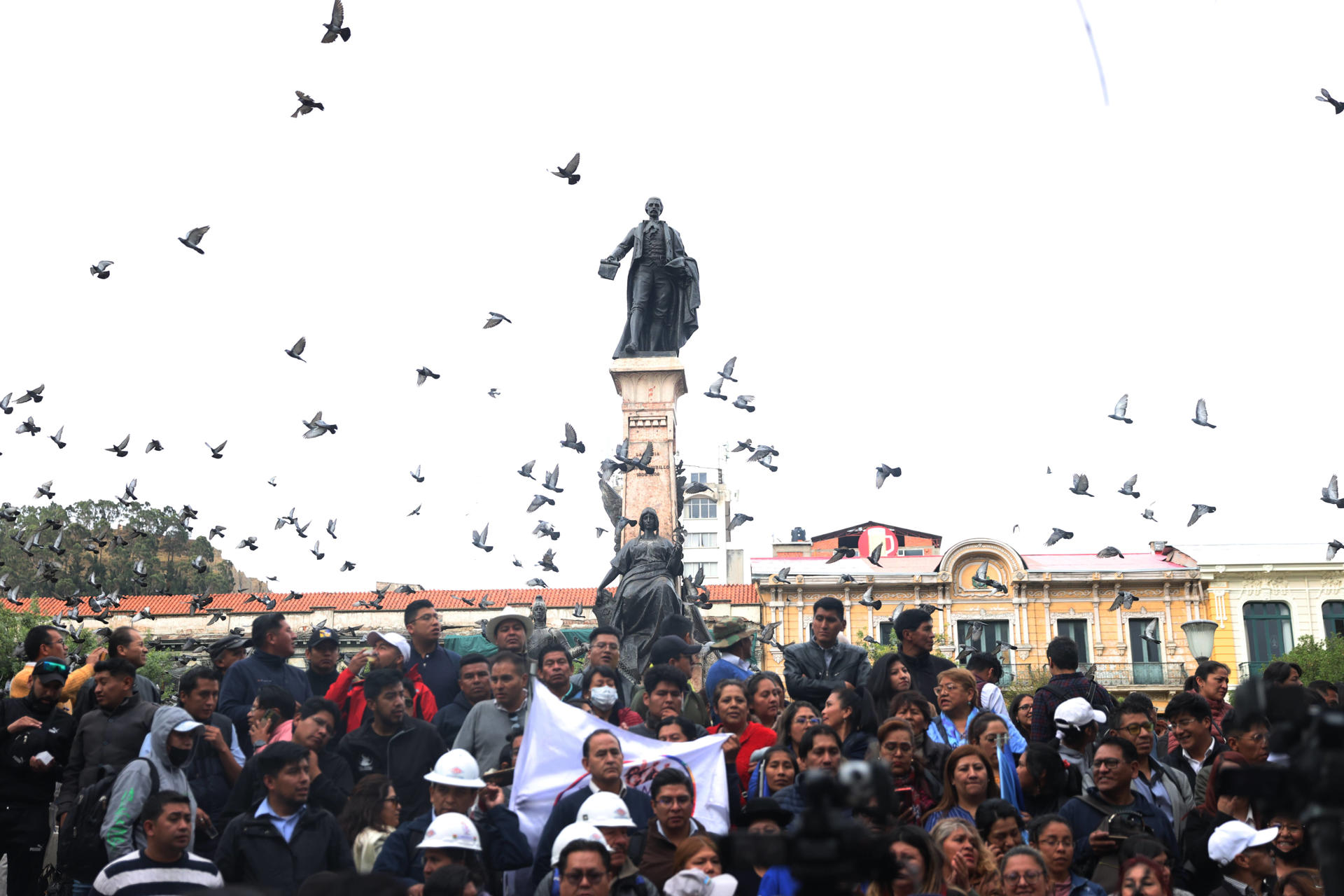 Sectores afines a Luis Arce celebran fallo que deja a Evo Morales sin el liderazgo del MAS