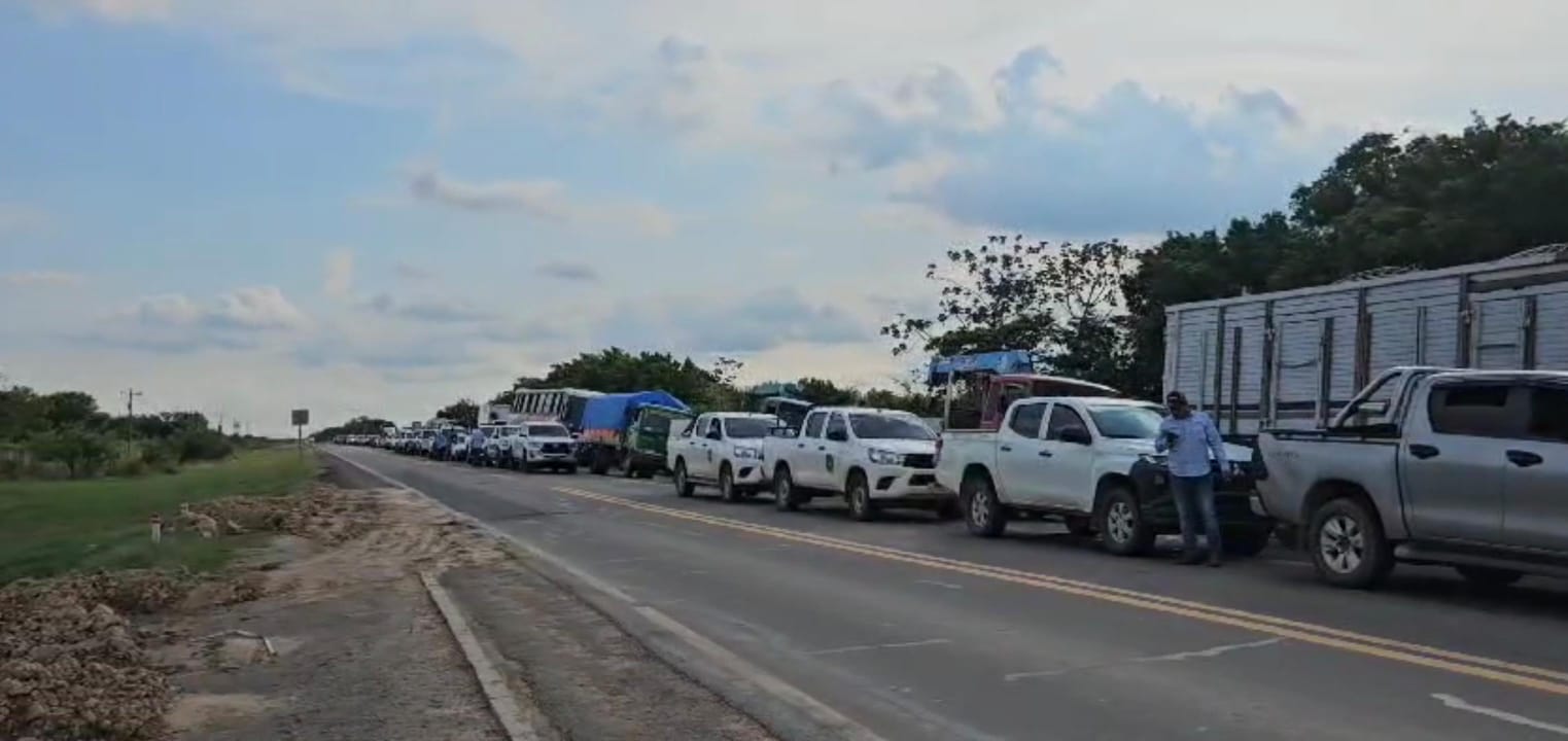 Anapo alerta de posibles pérdidas en cosecha y disminución  del área de siembra si no hay diésel de inmediato