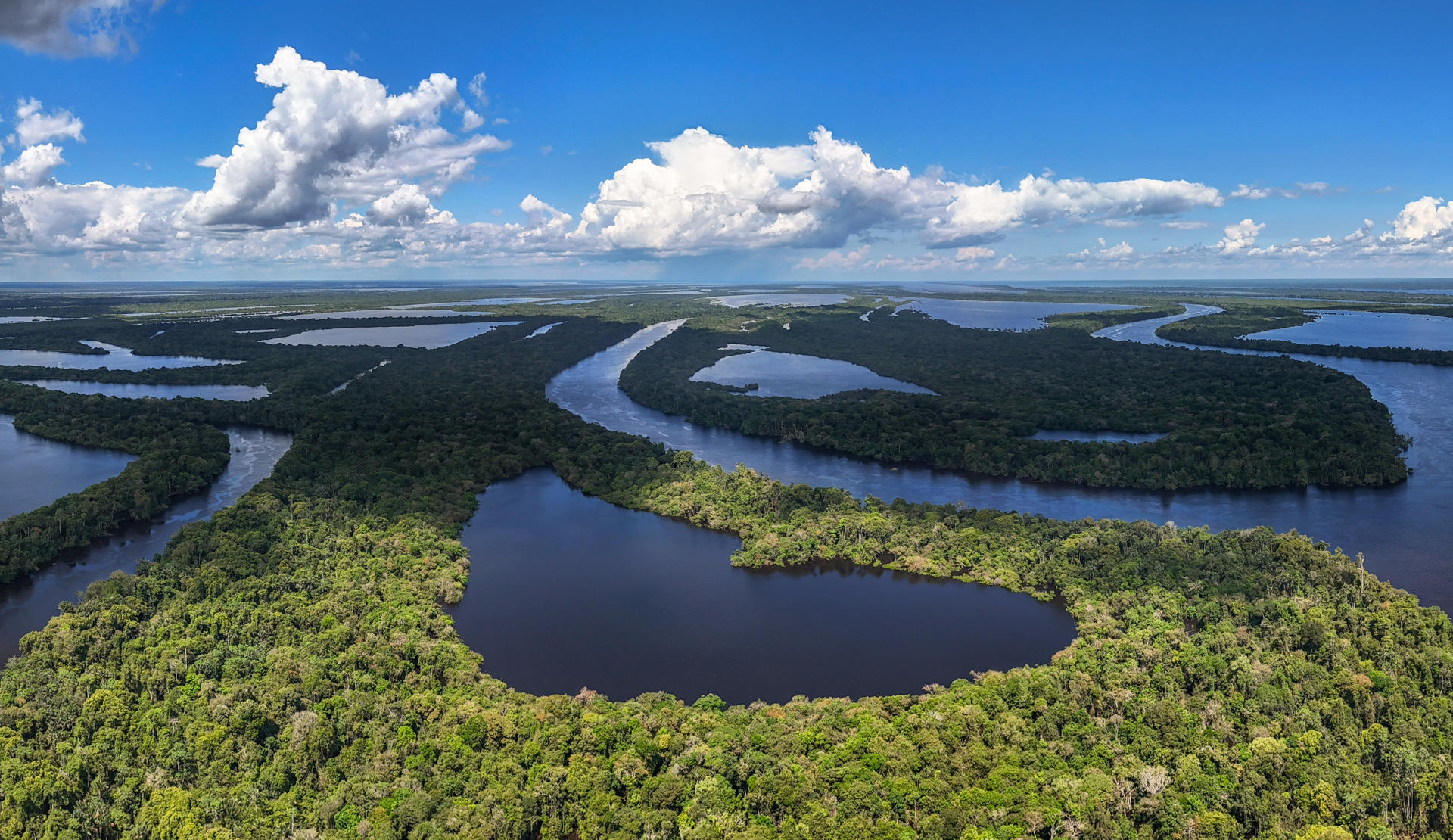 La Cruz Roja lanza un programa para combatir la crisis climática en la selva del Amazonas