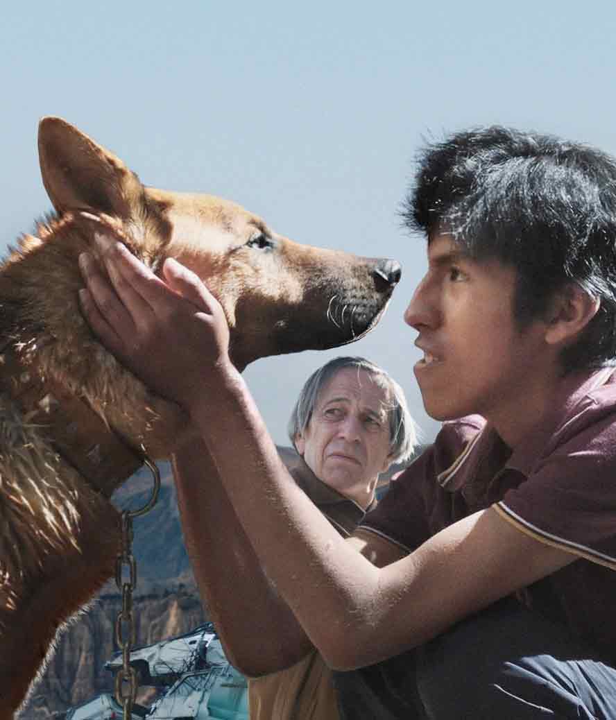 ‘El ladrón de perros’, el filme sobre un limpiabotas que representa a Bolivia en los Goya