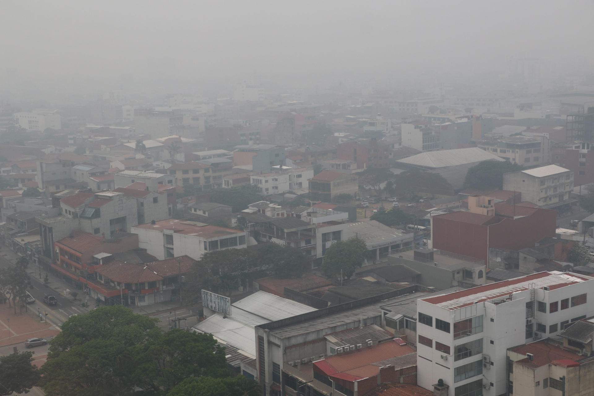 Relator de la CIDH visita Bolivia para evaluar el impacto de los incendios forestales