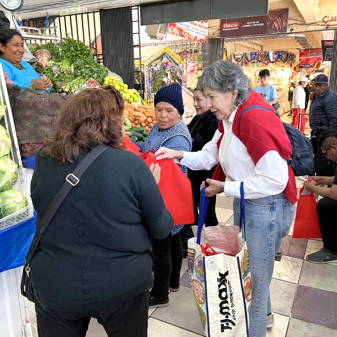 Amparo Ballivián acepta invitación del bloque opositor para competir como candidata única