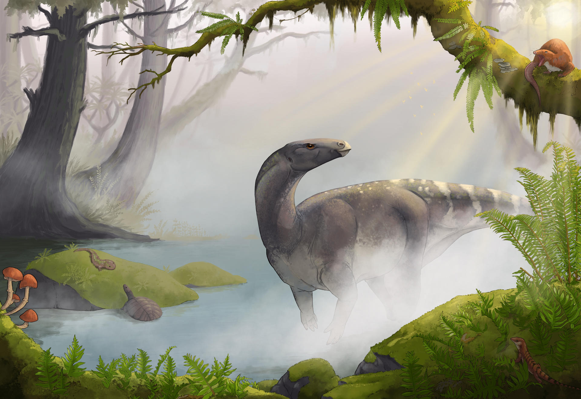 Revelan el fósil de un dinosaurio descubierto en Escocia hace 52 años