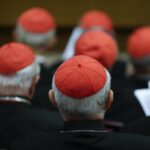 Imagen de archivo de cardenales durante un consistorio presidido por el papa Francisco. EFE/Max Rossi / Pool