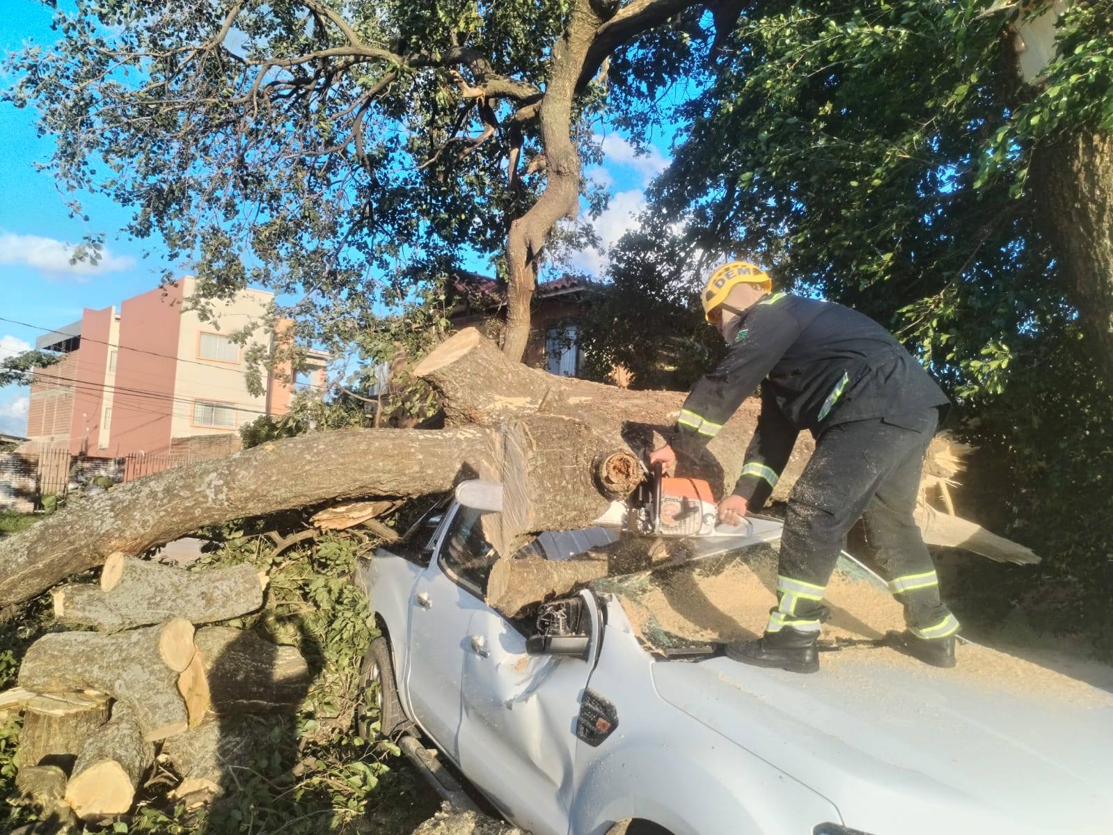 Alerta naranja en la ciudad por fuertes vientos; pronostican lluvias para la tarde